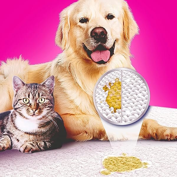 Vanish-Haustier-Experte-Teppich-und-Polsterreiniger-1-x-750-g-Pulver-zur-Pflege-verschiedener-Textilien-und-Pol-B075JKK3HX-5